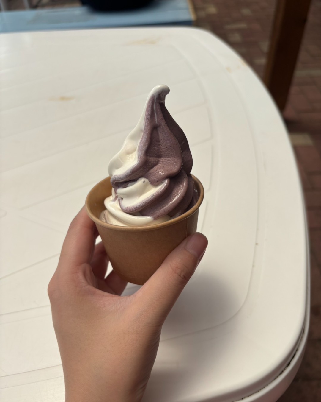 ふれあい工房で購入した450円のミックスソフトクリーム