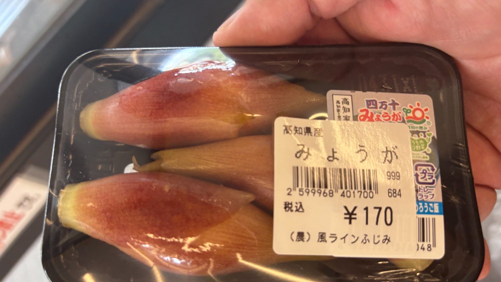 風ラインふじみで購入したみょうが170円