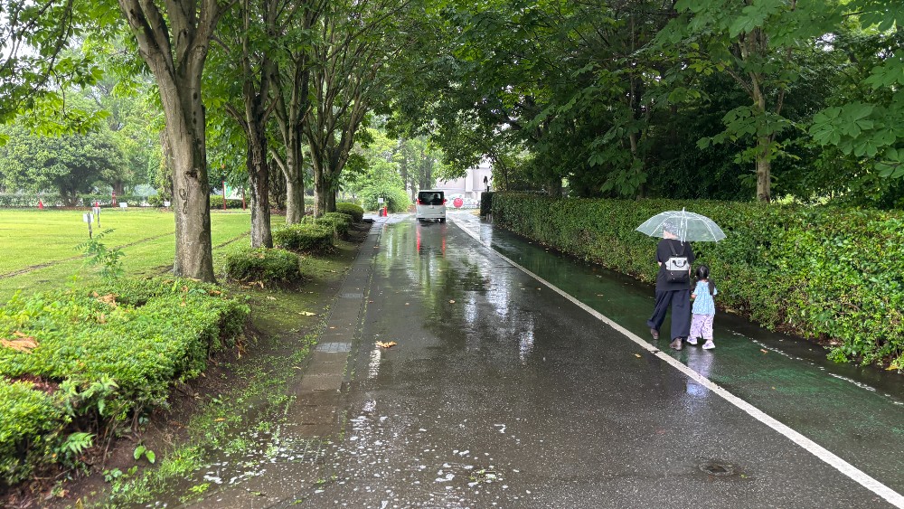 雨の日に子どもと歩く壬生町おもちゃ博物館までの道
