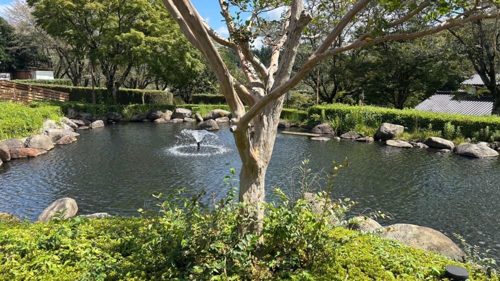 元気あっぷむらの池と庭園